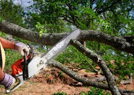 Best Lawn Grading and Leveling  in Holland, TX